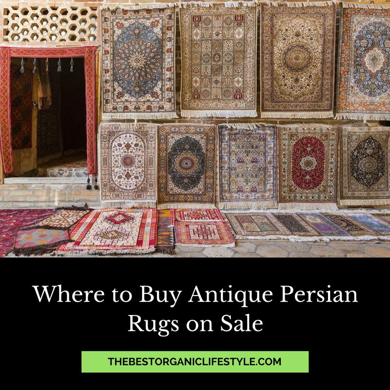 How to Buy A Persian Rug The Ultimate Guide The Best Organic Lifestyle