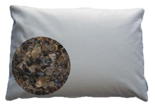 best buckwheat pillows on amazon - bean 72