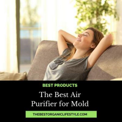 the best air purifier for mold
