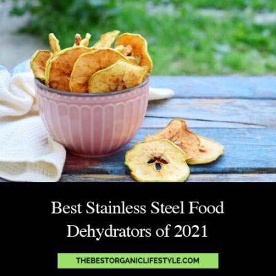 Best Stainless Steel Food Dehydrators of 2021