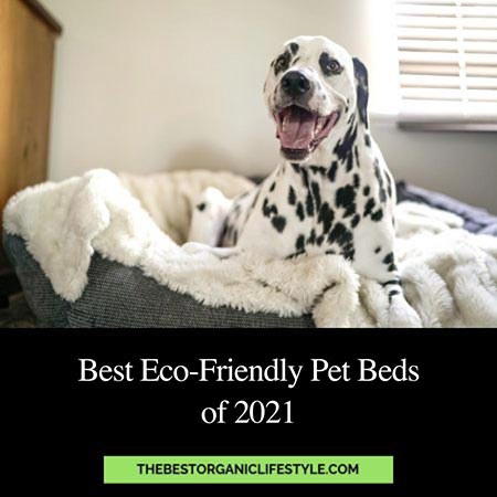 Best Eco-Friendly Pet Beds of 2021