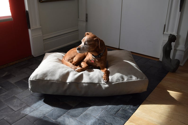 Best Eco-Friendly Pet Beds - BeanProductsInc 