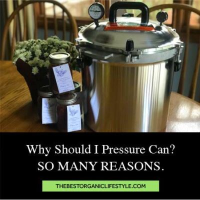 Why should i pressure can? So many reasons!