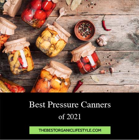 Best Pressure Canners